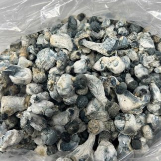 Blue Meanies Shrooms